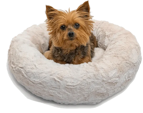 donut cats and dog bed