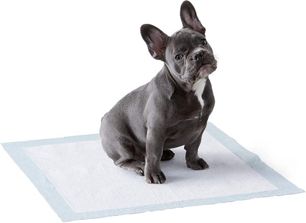 Amazon Basics Dog and Puppy Pads